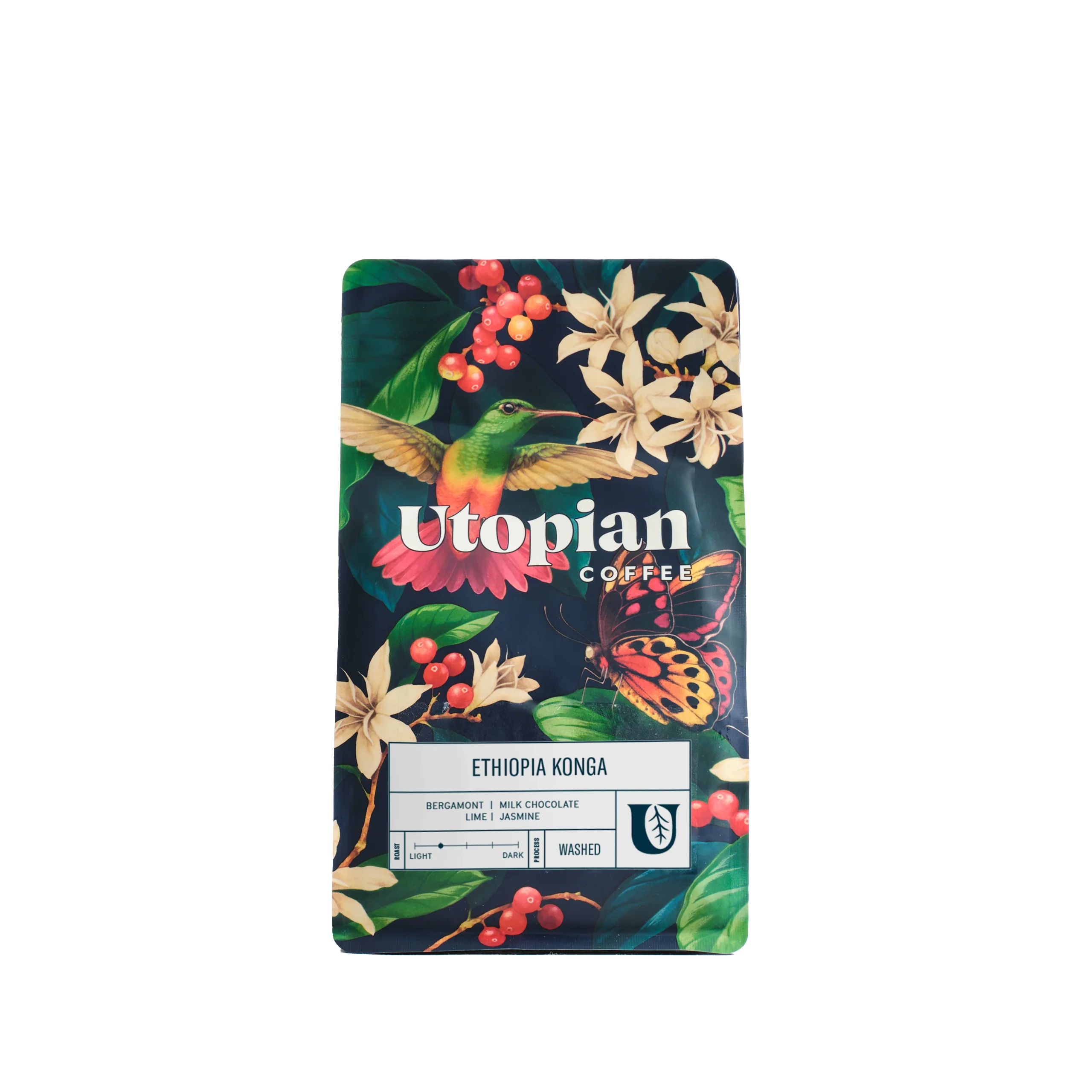 Ethiopia Konga